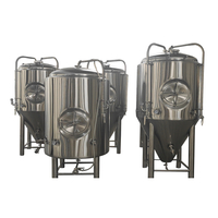 All in One Bierbrauanlage Beer Brite Tank